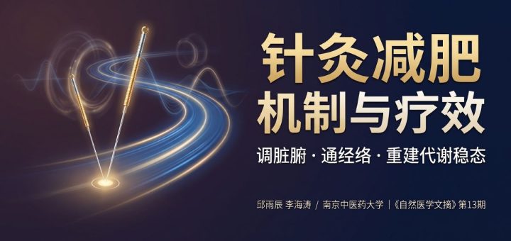 针灸减肥机制与疗效